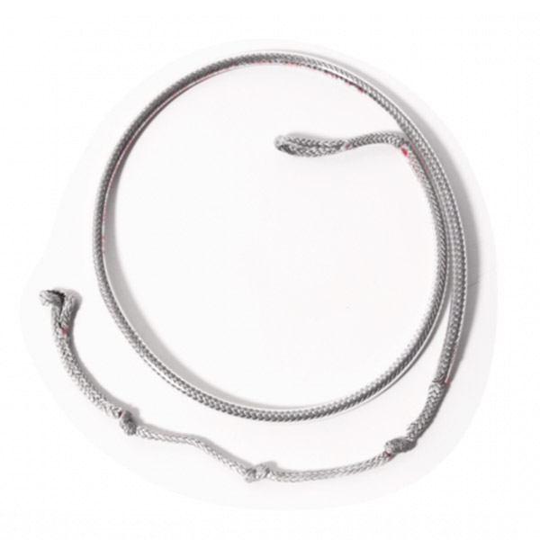 楽天市場】OZONE / オゾン ウィングフォイル用 コネクト・ウィング