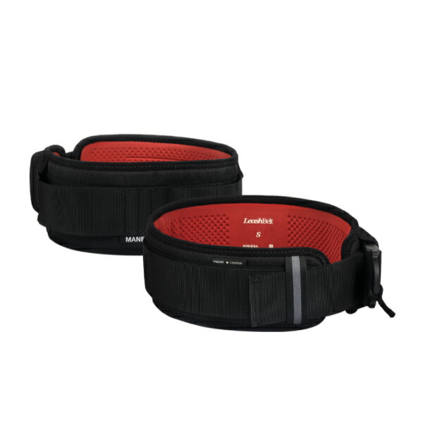 楽天市場】SPARK スパーク ウイング用ハーネス ウイングフォイル用