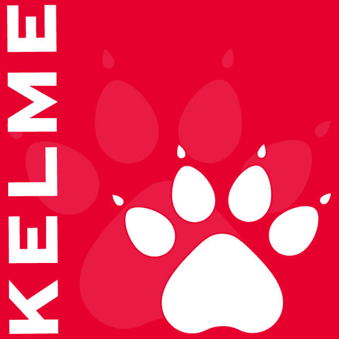 楽天市場 ケルメ ジュニアプラシャツ上下セット Ks101j 140j ジュニアプラクティスシャツ上下セット Kelme フットサル ウェア 上下 セット プラシャツ ジュニア キッズ こども用 Kelme キッズ練習着上下セット ネコポス不可 上下セット ボアスコンプラス