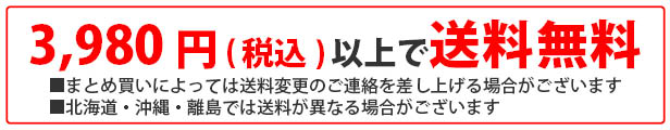 楽天市場】レッグストレッチャーCP BODYMAKER ボディメーカー ハイキック 空手 キックボクシング 骨盤矯正 ストレッチ 骨盤ダイエット  股関節 下半身ダイエット トレーニングマシン : ボディメーカー