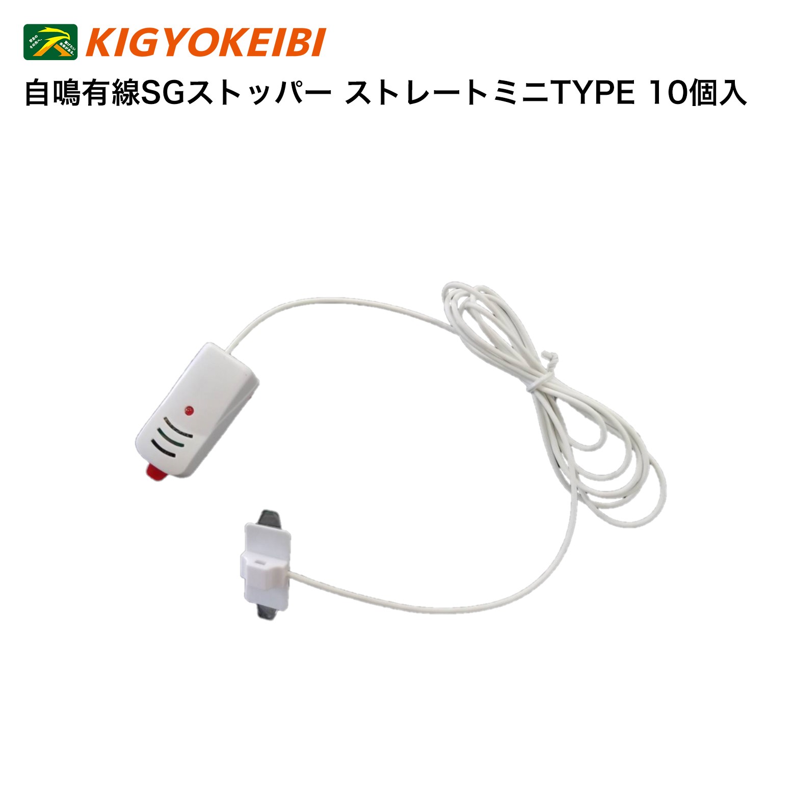 百貨店大売り出し特集