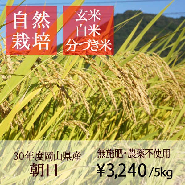 24Kg2018年産 無農薬栽培米(A804)の+aei.art.br