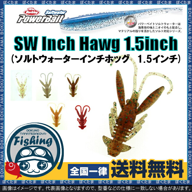 楽天市場】【送料無料】 リトルジャック littlejack MODELISM-EBI 50ｍｍ 2インチ ＃4 オレンジイエロー 入り数:8本 [  シュリンプワーム モエビ モデリズム エギ型ワーム ソフトワーム リアル 釣れるエサ 人気釣り具] : ぼくの玉手箱屋-フィッシング店