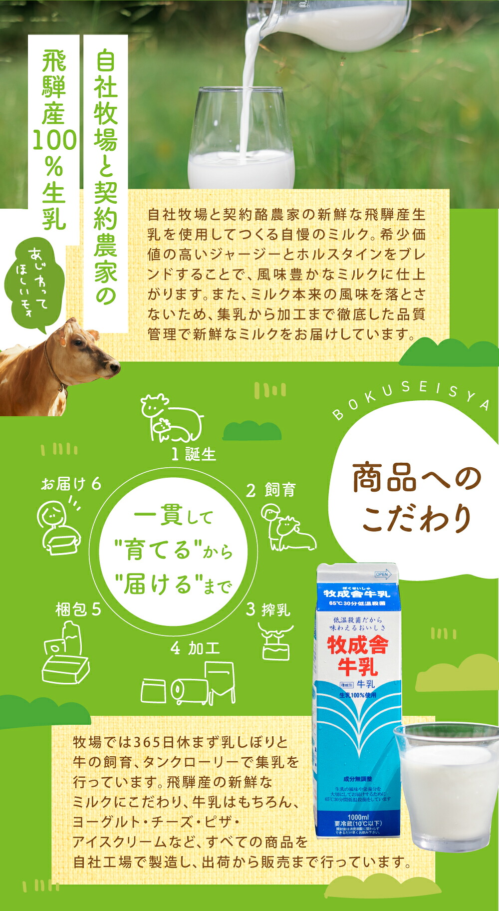 300円OFFクーポン&ポイント10倍! 訳あり 乳製品福袋 2026 食品ロス 福袋 食品 国産チーズ 在庫処分 訳アリ 牛乳 ヨーグルト 乳製品 詰め合わせ チーズ 牧成舎 スイーツ 送料無料 ワケアリ DEAL ギフト 敬老の日