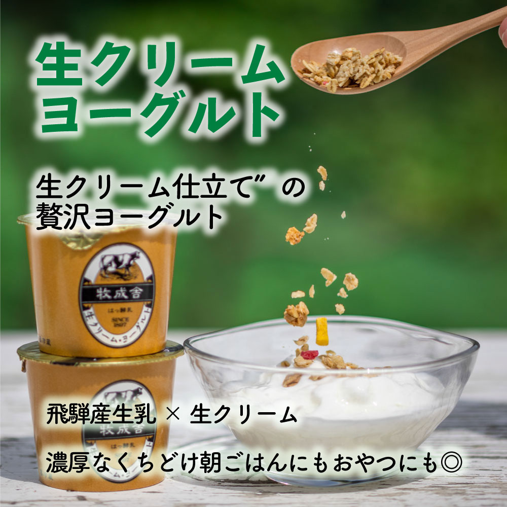 300円OFFクーポン&ポイント10倍! 訳あり 乳製品福袋 2026 食品ロス 福袋 食品 国産チーズ 在庫処分 訳アリ 牛乳 ヨーグルト 乳製品 詰め合わせ チーズ 牧成舎 スイーツ 送料無料 ワケアリ DEAL ギフト 敬老の日