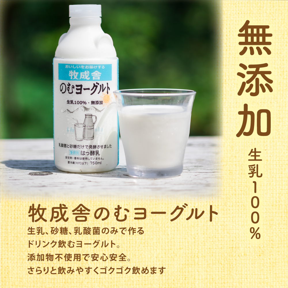 300円OFFクーポン&ポイント10倍! 訳あり 乳製品福袋 2026 食品ロス 福袋 食品 国産チーズ 在庫処分 訳アリ 牛乳 ヨーグルト 乳製品 詰め合わせ チーズ 牧成舎 スイーツ 送料無料 ワケアリ DEAL ギフト 敬老の日