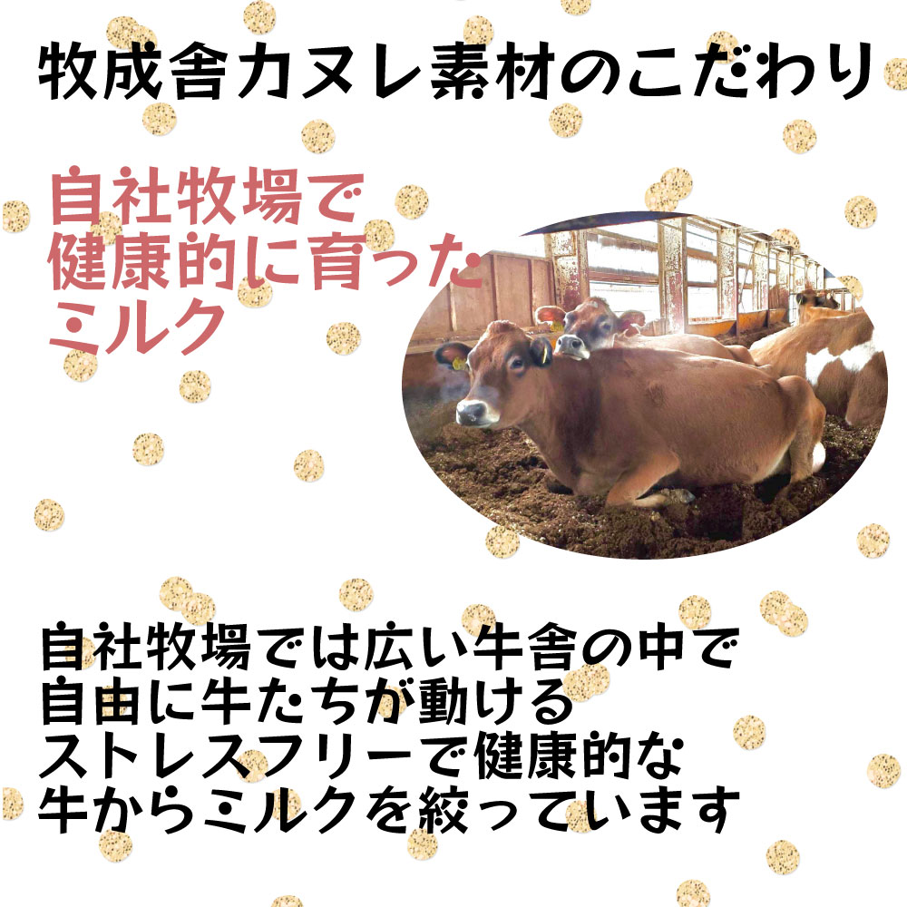 市場 極上のミルクで作るカヌレ6個入り 内祝い 詰め合わせ お誕生日 カヌレ 父の日ギフト プレゼント お取り寄せ