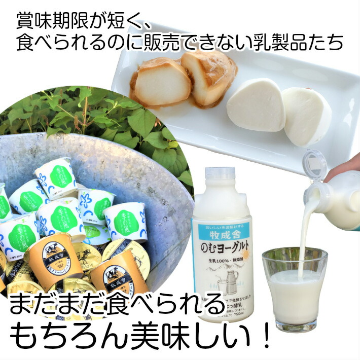 300円OFFクーポン&ポイント10倍! 訳あり 乳製品福袋 2026 食品ロス 福袋 食品 国産チーズ 在庫処分 訳アリ 牛乳 ヨーグルト 乳製品 詰め合わせ チーズ 牧成舎 スイーツ 送料無料 ワケアリ DEAL ギフト 敬老の日