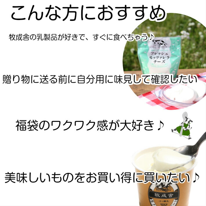 300円OFFクーポン&ポイント10倍! 訳あり 乳製品福袋 2026 食品ロス 福袋 食品 国産チーズ 在庫処分 訳アリ 牛乳 ヨーグルト 乳製品 詰め合わせ チーズ 牧成舎 スイーツ 送料無料 ワケアリ DEAL ギフト 敬老の日