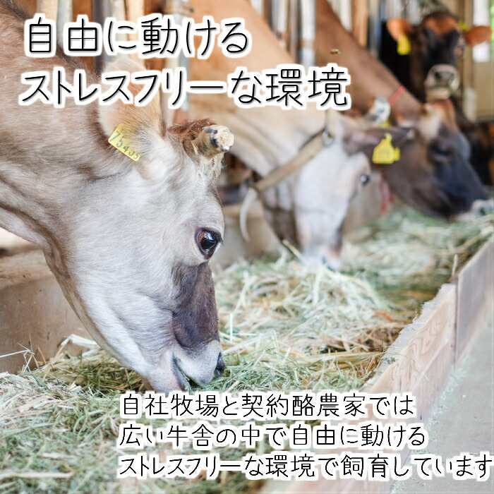 300円OFFクーポン&ポイント10倍! 訳あり 乳製品福袋 2026 食品ロス 福袋 食品 国産チーズ 在庫処分 訳アリ 牛乳 ヨーグルト 乳製品 詰め合わせ チーズ 牧成舎 スイーツ 送料無料 ワケアリ DEAL ギフト 敬老の日