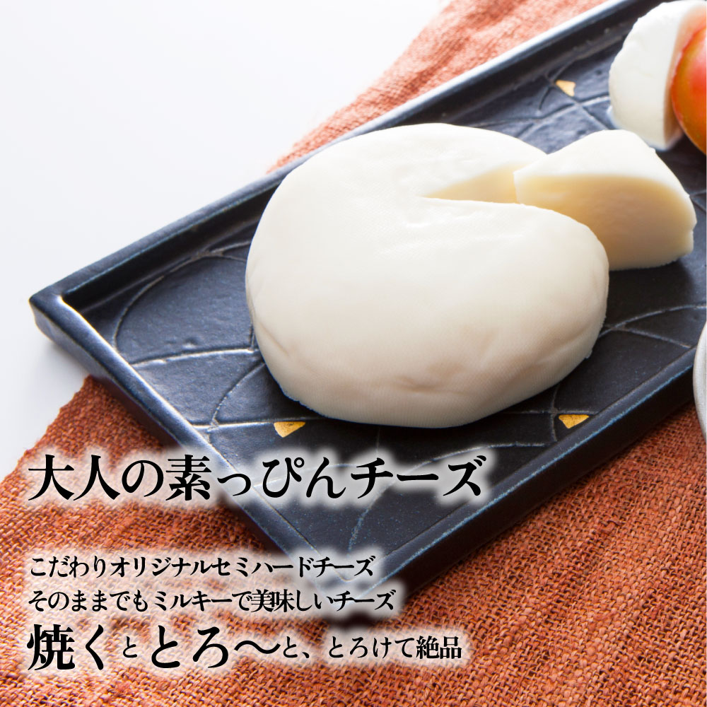 チーズ4種セット母の日 父の日 お取り寄せ チーズ パーティー 国産 牧場 モッツァレラ セミハード ギフト 内祝い おつまみ ワイン 送料無料 お酒 パーティー 日本酒 牧成舎 グルメ チーズ | antiguaboreal.com
