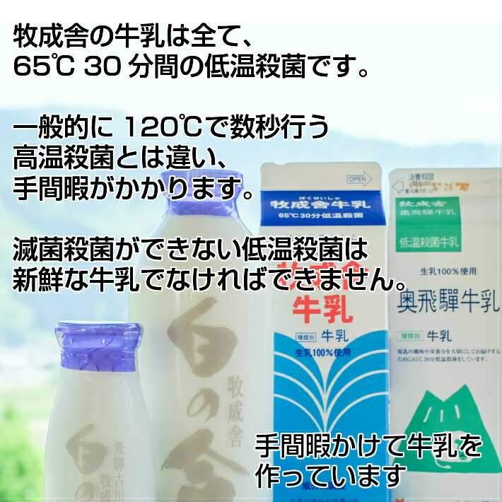 300円OFFクーポン&ポイント10倍! 訳あり 乳製品福袋 2026 食品ロス 福袋 食品 国産チーズ 在庫処分 訳アリ 牛乳 ヨーグルト 乳製品 詰め合わせ チーズ 牧成舎 スイーツ 送料無料 ワケアリ DEAL ギフト 敬老の日