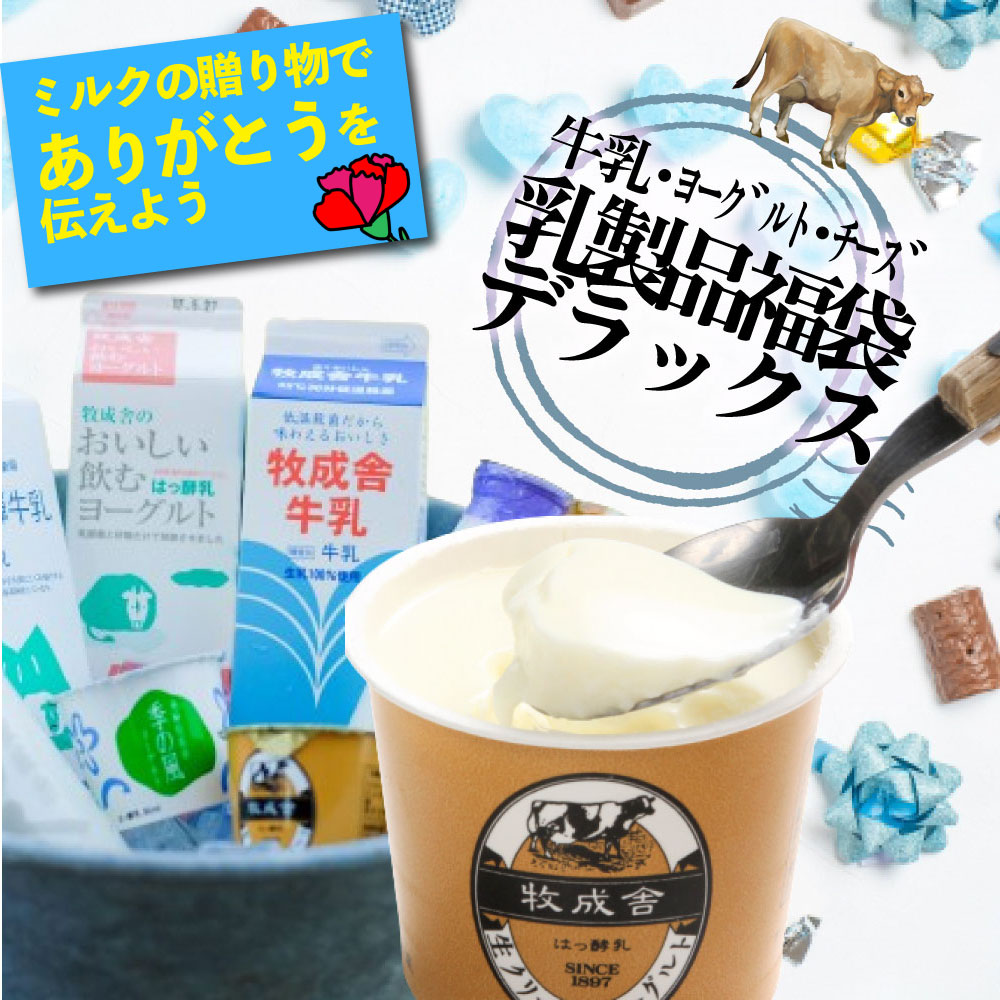 LINE登録で10％OFFクーポン！母の日 遅れてごめんね 【乳製品5000円福袋】もったいない 訳アリ プチ贅沢 ご褒美 福袋 食品 2025 在庫処分 スイーツ おつまみ お取り寄せ 牛乳 ヨーグルト 食品ロス 詰め合わせ チーズ 食品 牧成舎 プレゼント 食品   父の日 中元 お中元