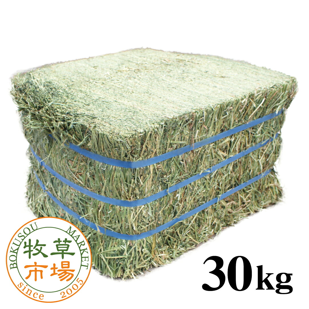 【発売記念特別価格】牧草市場 アルファルファ（特選プレミアム）牧草 約30kg【ベール販売 業務用】【sg】