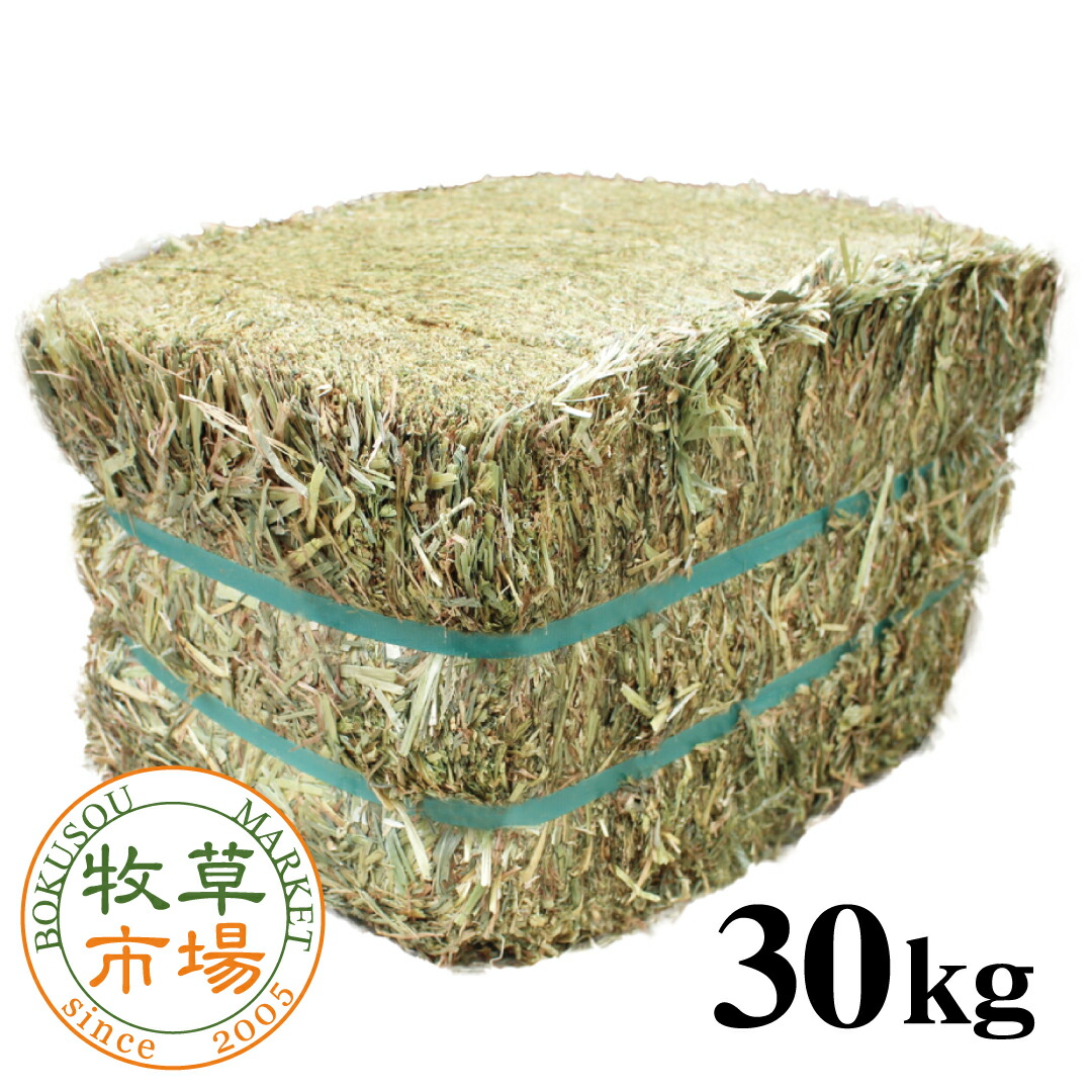 SNSで話題 【即日発送】 M628QOM3HRU 型番:M628QOM3HRU