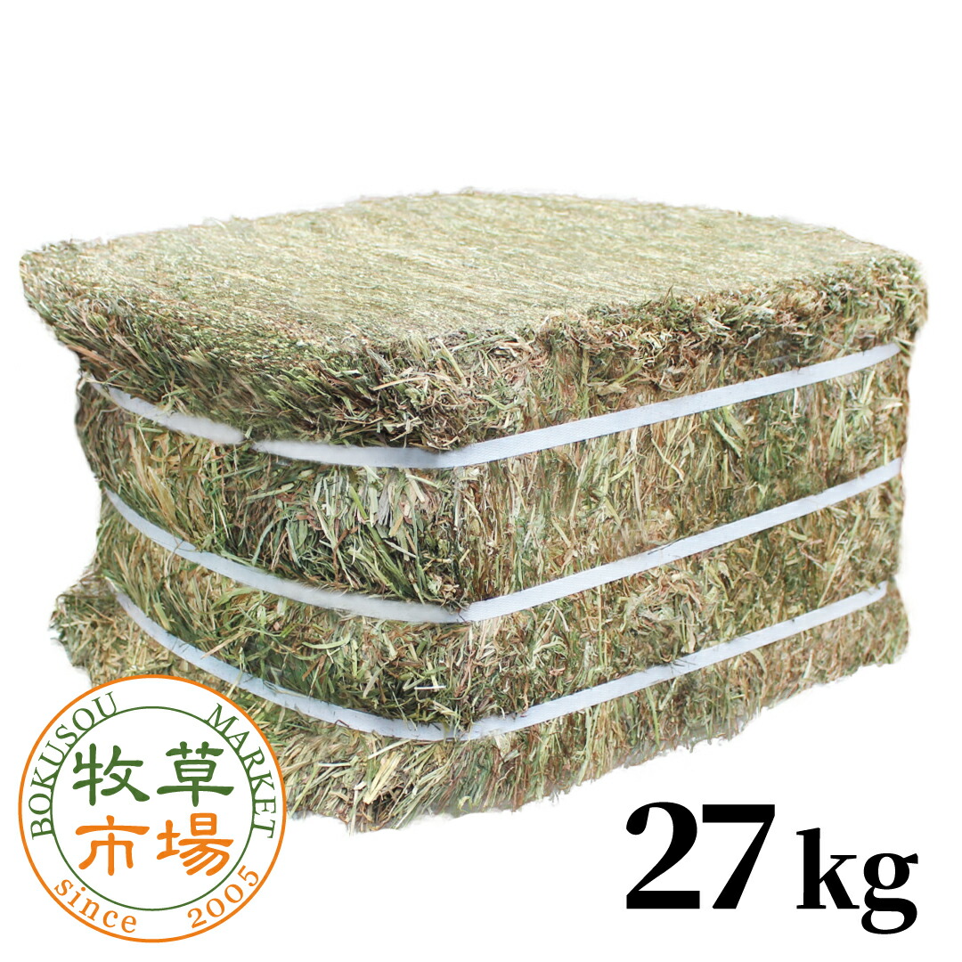 馬糧証券業界 カナダ産割り増し金チモシー2番刈り 約27kg 【頭を覆う物売りわたす お役目用】【sg】