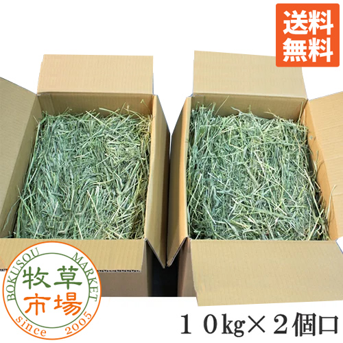 楽天市場】牧草市場 USチモシー2番刈り（プレミアム）牧草