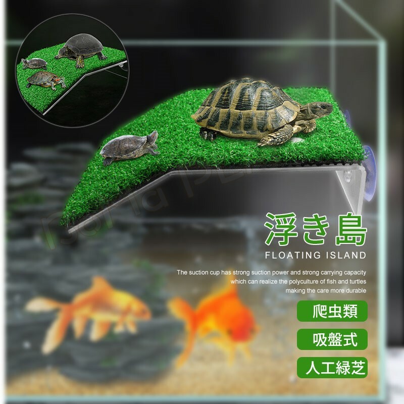 楽天市場】亀の水槽 両生類 カメの楽園 飼育ケース ボックス