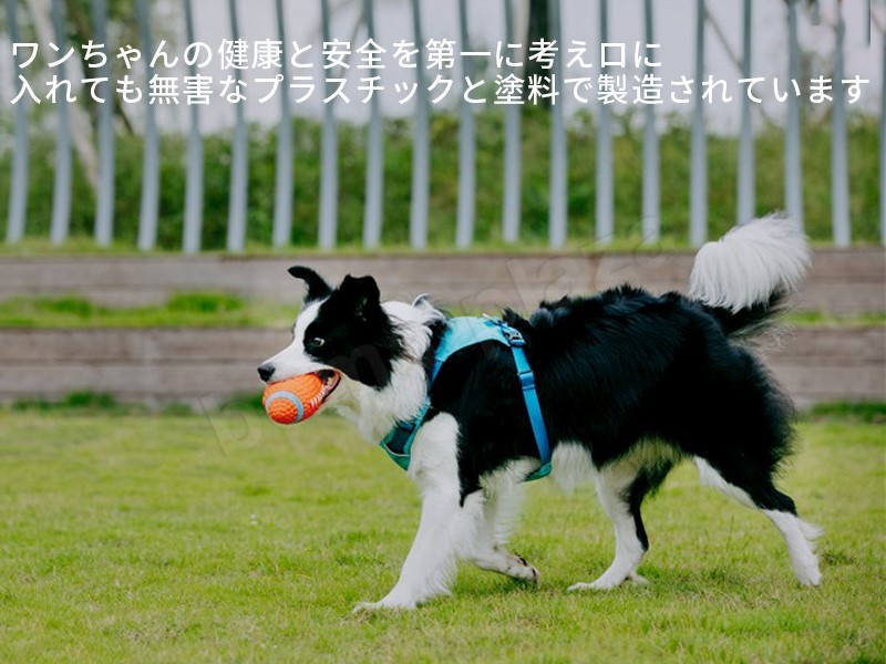 犬 おもちゃ 犬おもちゃ 犬のおもちゃ 犬用おもちゃ 壊れない 丈夫 噛む ペットのおもちゃ 犬おもちゃボール 犬おもちゃロープ 歯磨きボール トレス解消 噛むおもちゃ ペット用品 遊び道具 Educaps Com Br