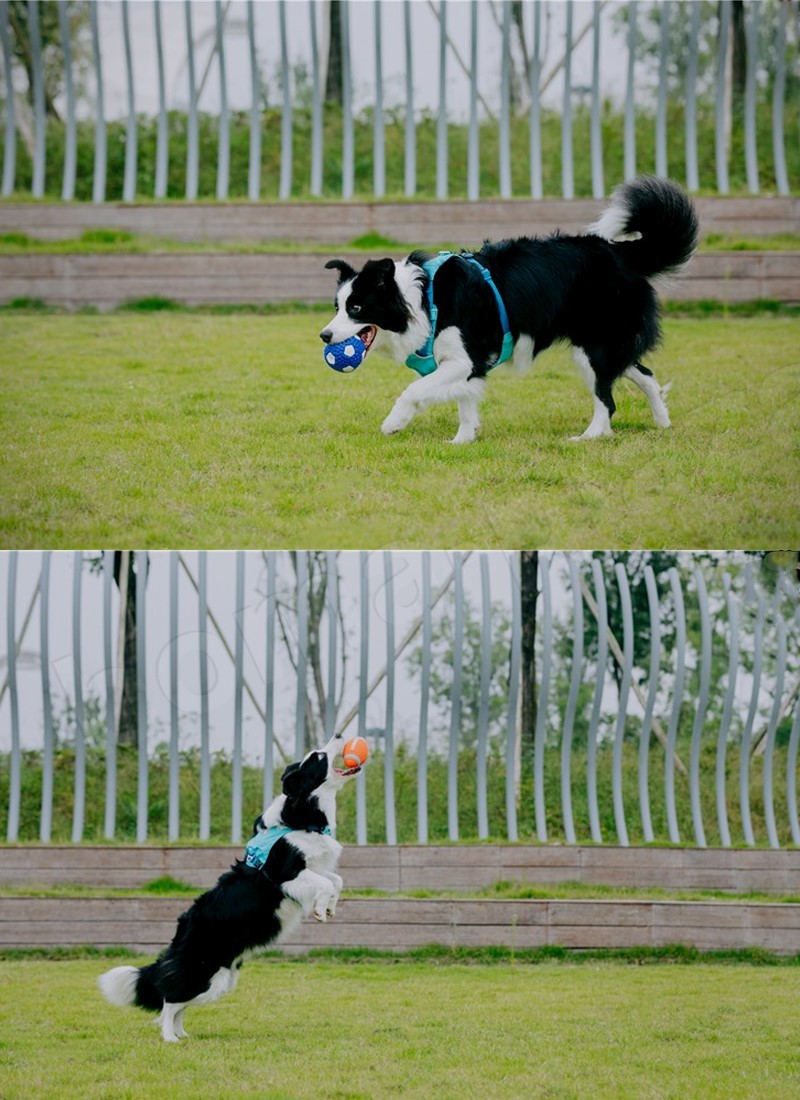 犬 おもちゃ 犬おもちゃ 犬のおもちゃ 犬用おもちゃ 壊れない 丈夫 噛む ペットのおもちゃ 犬おもちゃボール 犬おもちゃロープ 歯磨きボール トレス解消 噛むおもちゃ ペット用品 遊び道具 Letempslev K7a Com