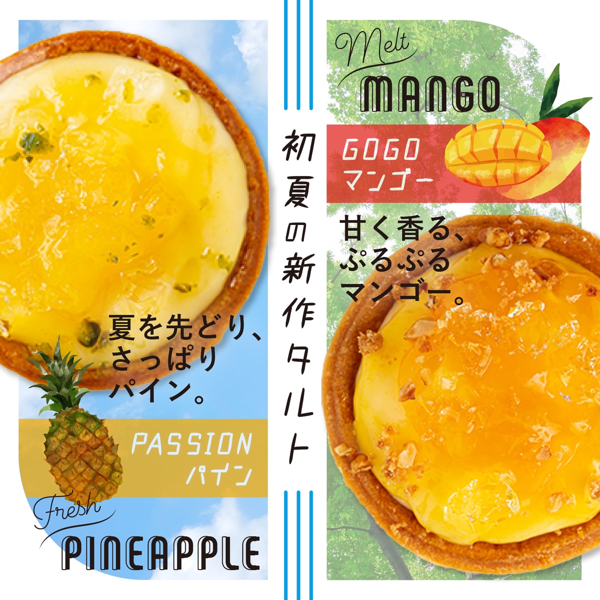 送料無料 のし対応 24個入 色とりどりのタルトセット 季節限定初夏タルト入 Bombomy ボンボミー チーズタルト ベイクド ミニタルト プチタルト フルーツタルト おしゃれ スイーツ ケーキ 人気 お取り寄せ お土産 父の日ギフト プレゼント 熨斗 冷凍 Cooltonindia Com