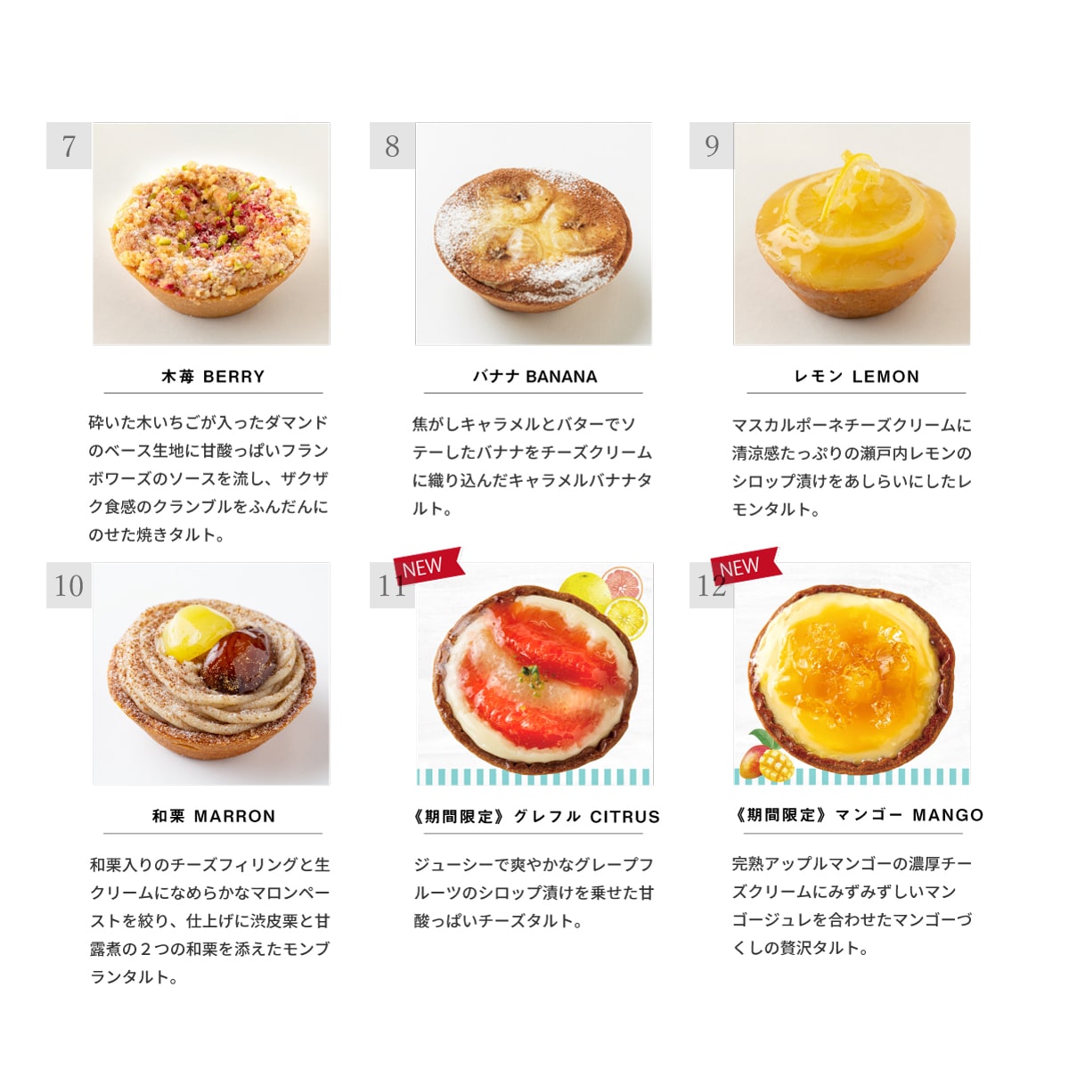 選べるタルト8個セット
