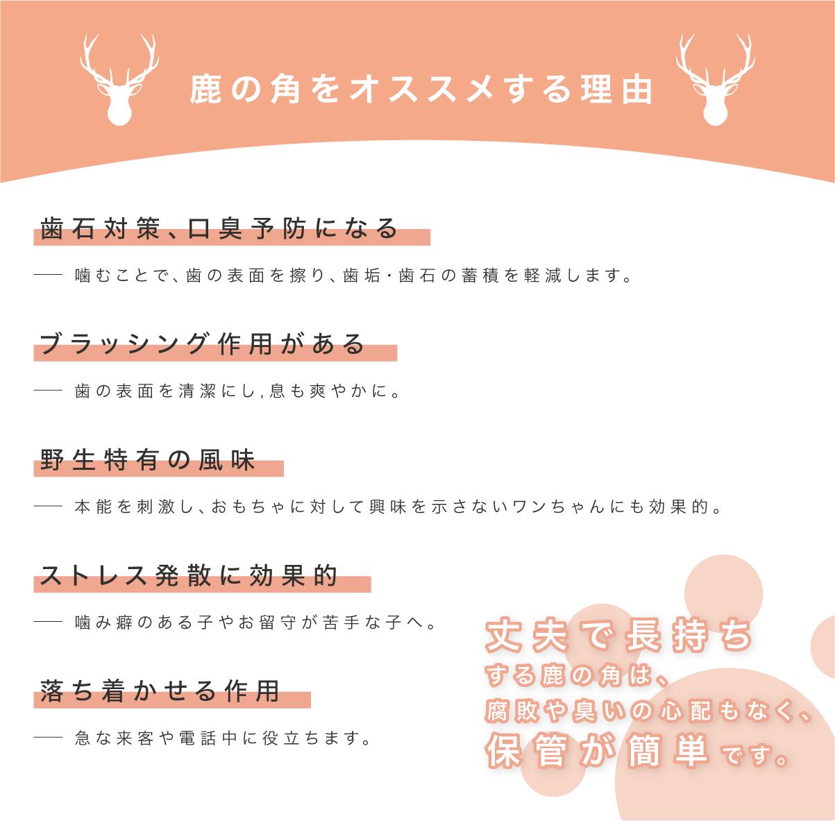 ペットフード研究所 鹿の角 噛むおもちゃ おもちゃ 15cm 犬 国内産 中型犬 無添加