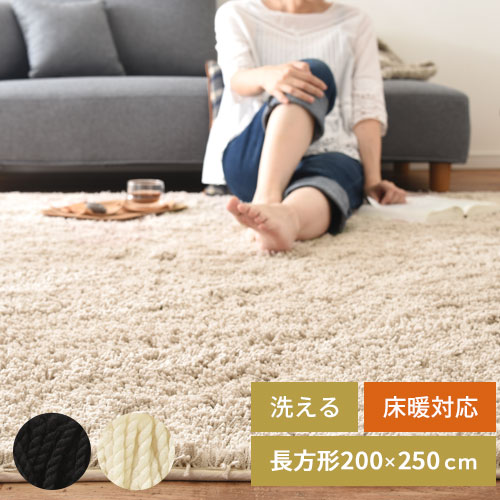 ラグ ラグマット シャギー カーペット 洗える 手洗い 洗濯可能 センターラグ シャギーラグマット フロアマット 床暖房 床暖房対応 ホットカーペット対応 春夏秋冬 おしゃれ 200×250cm