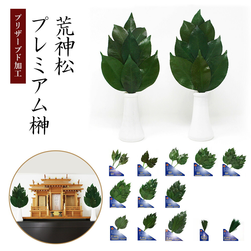 旬のフルーツ×陽気のお花