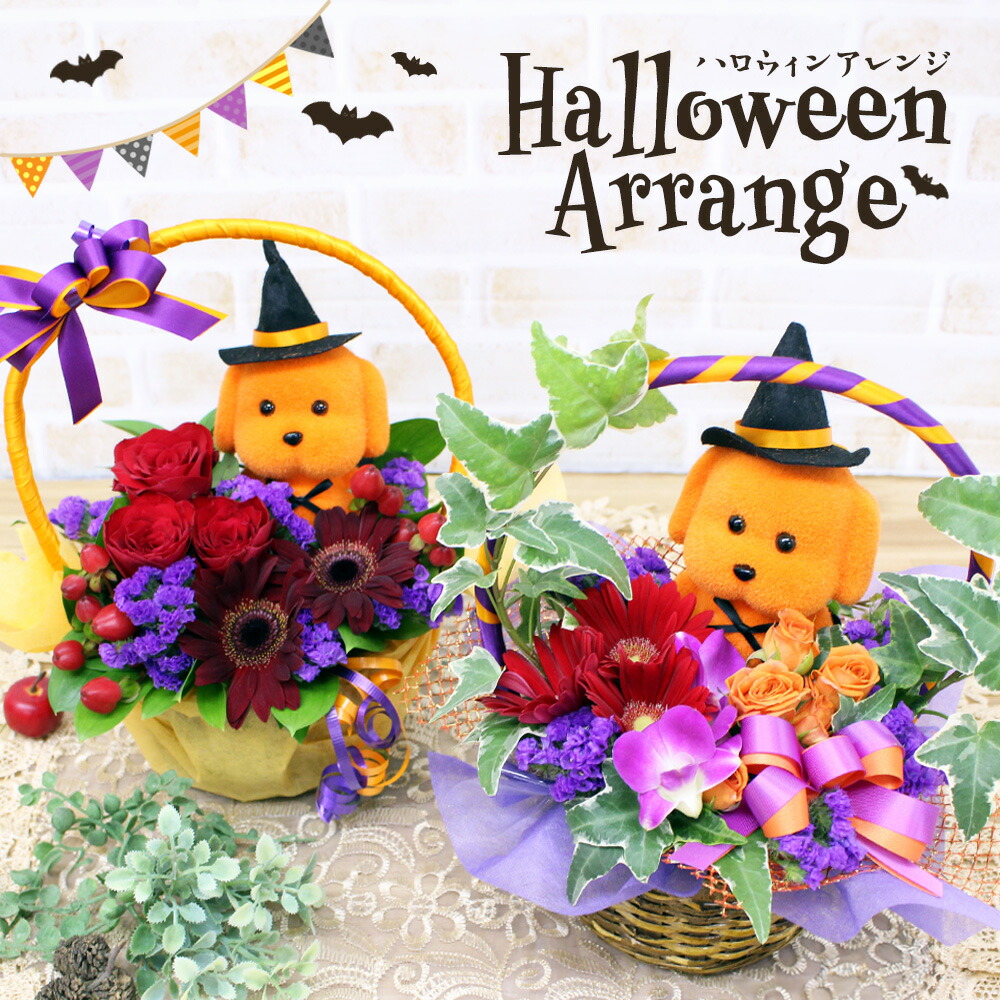 楽天市場】ハロウィン 花 アレンジメント 誕生日プレゼント 花 女友達