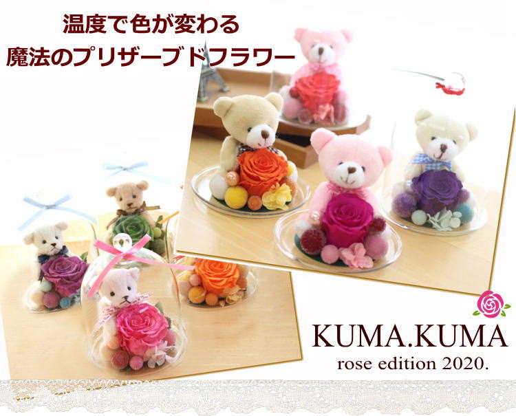 楽天市場 送料無料 温度で色が変わるッ 魔法のプリザーブドフラワー バラ Kuma Kuma ドーム Rcp 花 フラワー プレゼント テレビ で紹介 ギフト アールdeフルール ボン サーンス