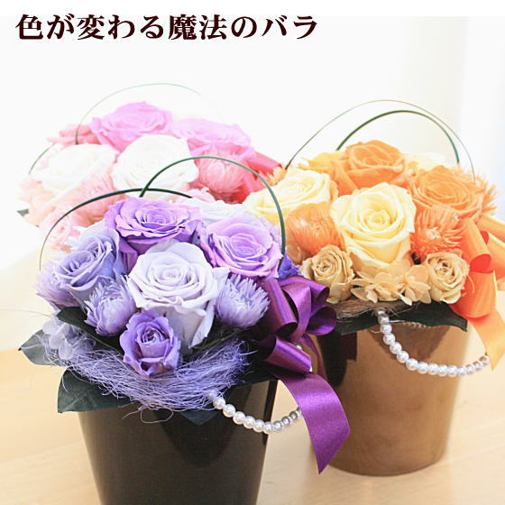 温度で色が変わるッ 魔法の プリザーブドフラワー Dx 嫁 カサブランカ 誕生日 記念日 結婚祝い 出産祝い 記念日 楽ギフ メッセ入力 あす楽対応 Rcp アールdeフルール ボン サーンス花 ギフト 誕生日 プレゼント 電報 結婚式 結婚祝い 即日発送 温度で色が変わるッ 魔法の プリザーブドフラワー Dx 嫁 カサブランカ 誕生日 記念日 結婚祝い 出産祝い 記念日 楽ギフ メッセ入力 あす楽対応 Rcp アールdeフルール ボン サーンス花 ギフト 誕生日 プレゼント 電報 結婚式 結婚祝い 即日発送