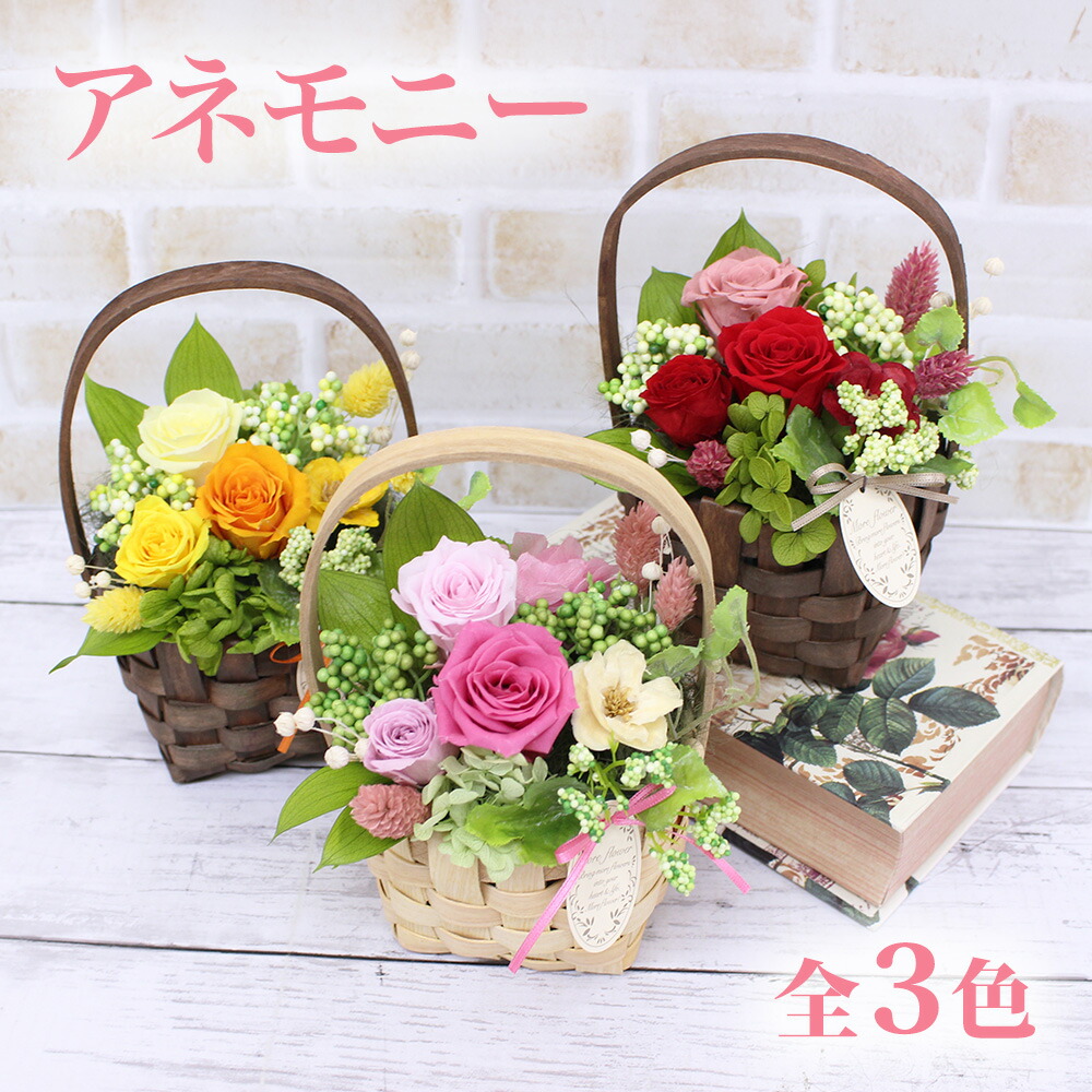 プリザーブドフラワー 誕生日 お祝い 入学 卒業 新生活 開店祝い 記念日 結婚祝い お誕生日 プレゼント ギフト プレゼント 母の日 「アネモニー」 選べる3色 [プリザーブドフラワー]