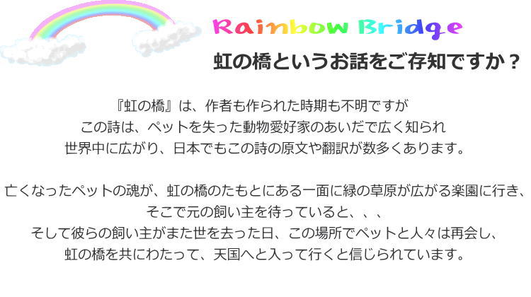 楽天市場 送料無料 虹の橋で待つもう１人の家族へ ペット専用選べる お供え アレンジ 即日発送可 ペット お供え お悔やみ 法事 画像配信ok 楽ギフ メッセ入力 Rcp アールdeフルール ボン サーンス