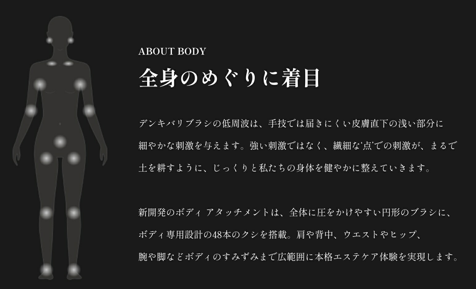 古典 Sr5sp13allsafe ラッシングベルト ステンレス製ラチェット式t ワンピース重荷重 Fucoa Cl