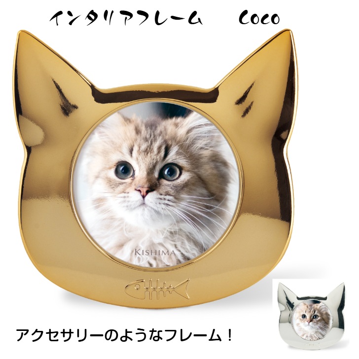 猫 鍵盤 写真たて 猫 鍵盤 写真たて 猫 鍵盤 写真たて 猫 鍵盤 写真たて