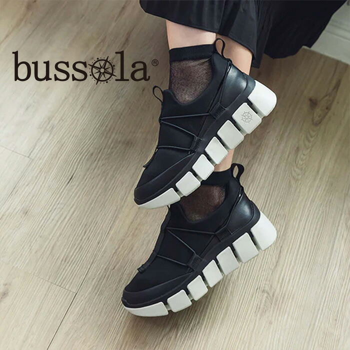 ASFVLT 2026 SPRING