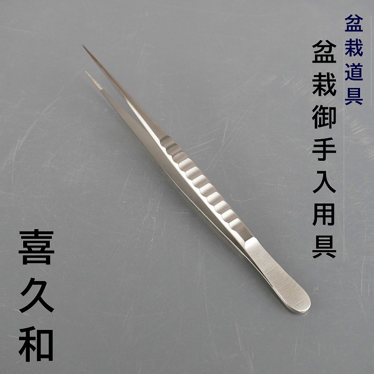 bg24032607.jpg