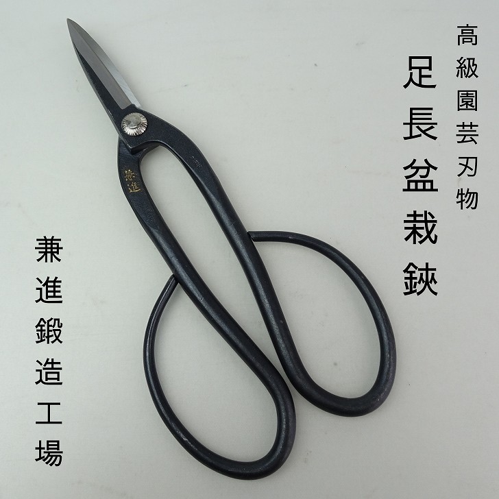 盆栽鋏 大きめ 黒 箱入り 18000円 盆栽鋏 大きめ 黒 箱入り 18000円 楽天市場】盆栽鋏の通販