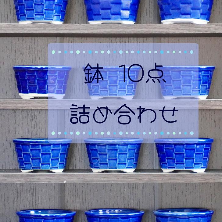 ミニ小型盆栽鉢　多肉植物ポット　カラフル豆盆栽　豆鉢 3点+10点セット ミニミニ盆栽鉢 多肉植物ポット 豆盆栽 豆鉢 苔盆栽 超ミニ盆栽