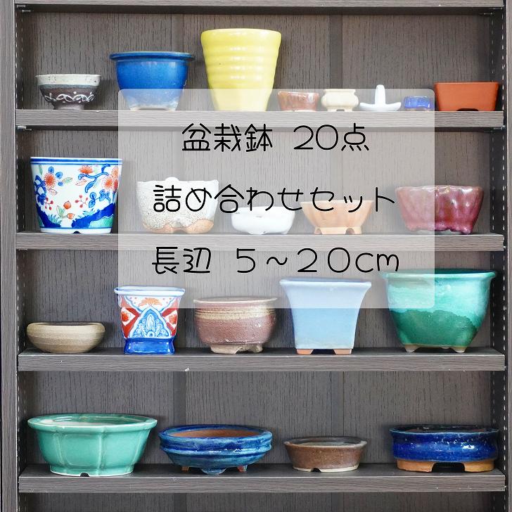 【中古】福袋 盆栽鉢 20点 詰め合わせ 小型 長辺 約5糎～20糎 中古鉢 貨物輸送無料