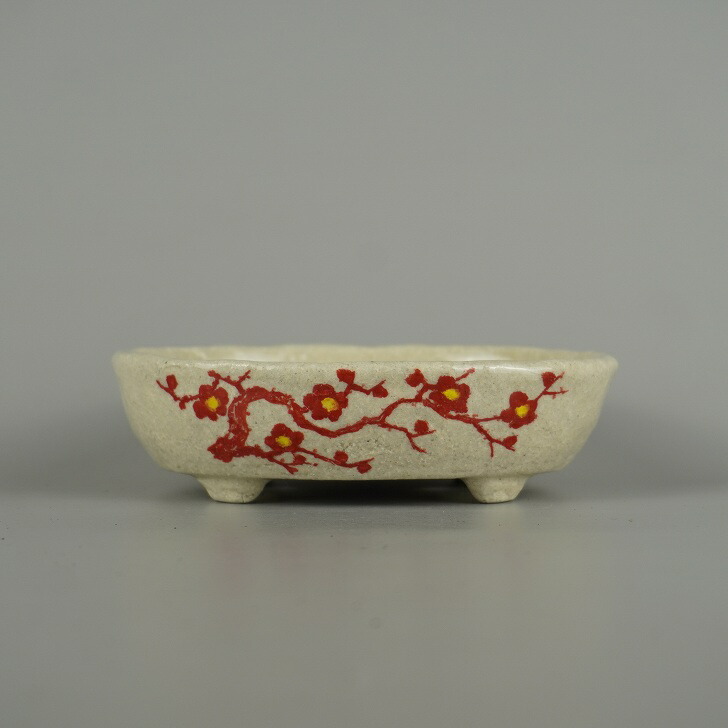 盆栽鉢 越前文山 小型 長辺 約 14cm 楕円鉢 赤絵 竹 笹 花 はな ハナ 鑑賞 観賞用 現品 新品 送料無料