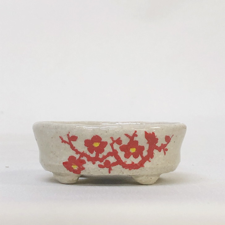 盆栽鉢 文山 越前文山 小鉢 長辺 約 6.8cm 楕円鉢 赤絵 竹 花 観賞用 現品 新品 送料無料