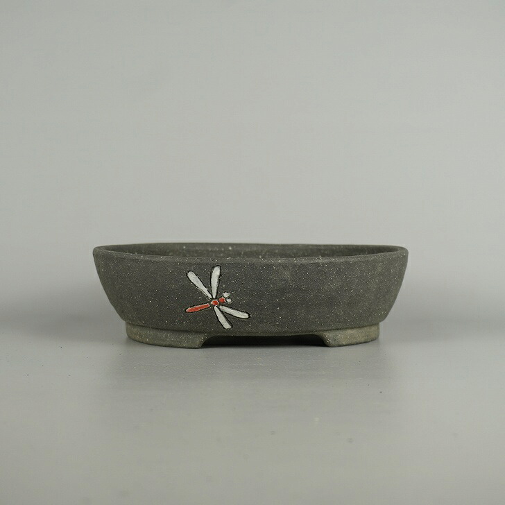 盆栽鉢 文山 越前文山 中型 長辺 約 21cm 鯖江園芸 楕円鉢 色絵 蜻蛉 とんぼ トンボ 泥物 鑑賞 観賞用 現品 新品 送料無料