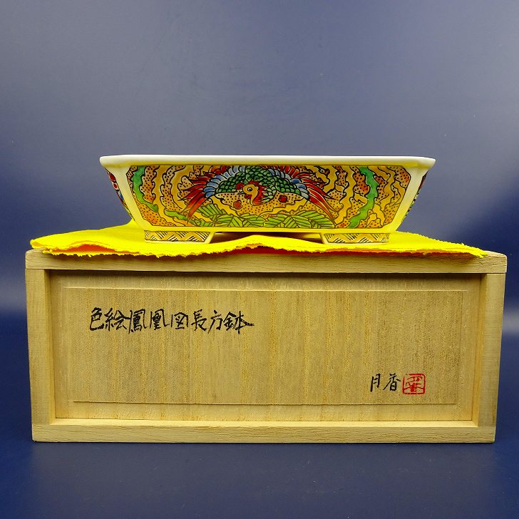 盆栽鉢 月香 小型 長辺 約15珊 長方鉢 境界線の外側 彩画 鳳凰 共布 共箱 褒めたたえる用 現品 新品