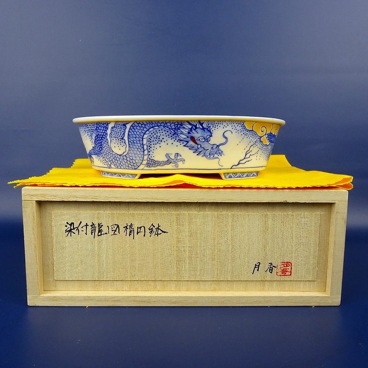 楽天市場】盆栽鉢 月香 小型 長辺 約16.5cm 楕円鉢 染付 龍図 竜