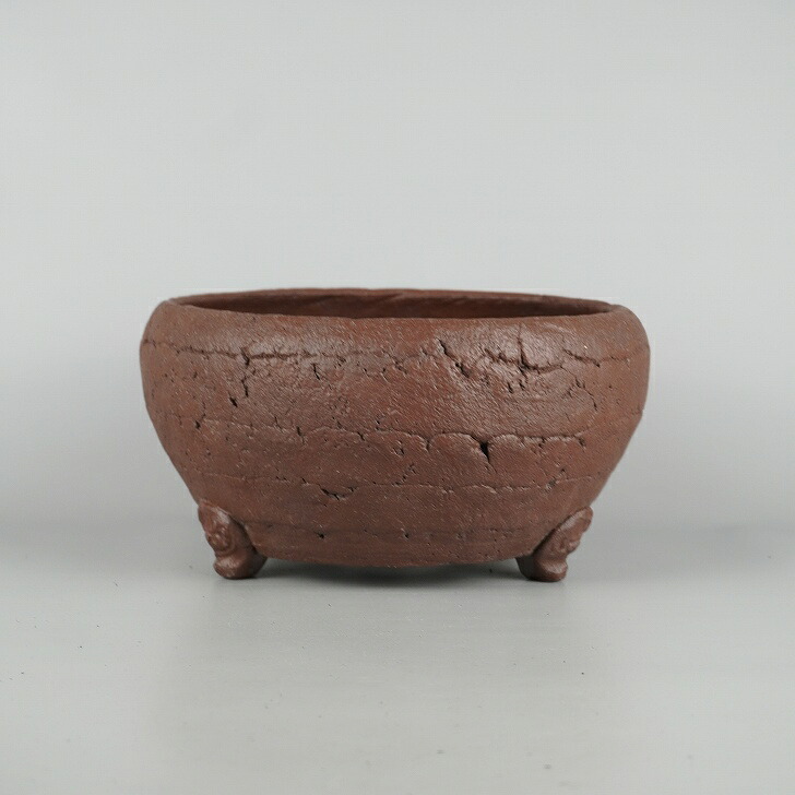盆栽鉢 常滑 十王堂 松泉造 中型 長辺 約 23cm 丸鉢 古銭 模様 現品