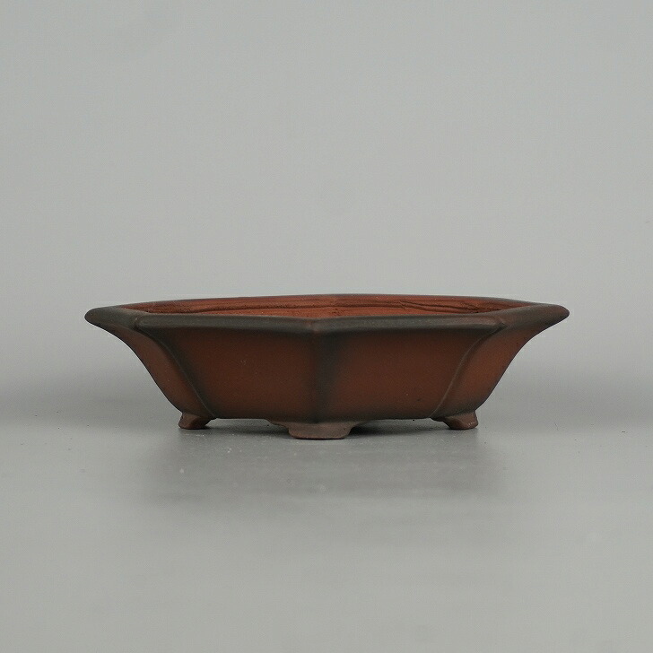 盆栽鉢 常滑 美芸 小型 長辺 約 14cm 剣 木瓜鉢 泥物 数量物 新品 送料無料｜盆栽はニわ 店