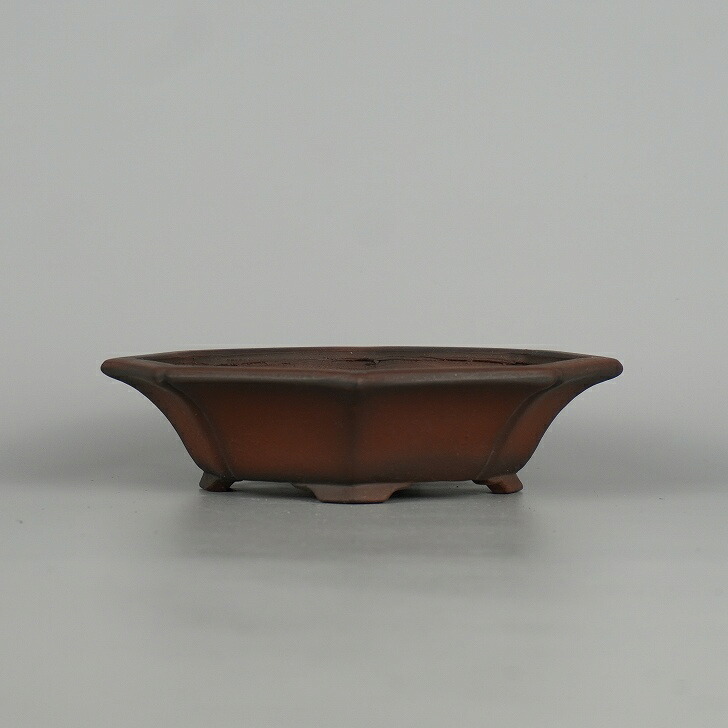 盆栽鉢 常滑 美芸 小型 長辺 約 16糎 剣 草木瓜鉢 泥物 量目物 新品 貨物輸送無料