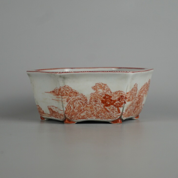 盆栽鉢 誠昭 小型 長辺 約 12.8cm 六角鉢 赤絵 山水図 模様 鑑賞用 観賞用 和鉢 現品|盆栽はニわ 店